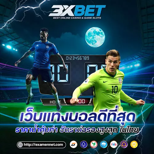 แทงบอล, เว็บแทงบอลออนไลน์